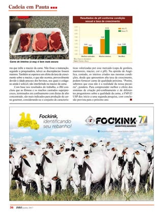 36	 DBO junho 2017
Cadeia em Pauta
Carne de inteiros (à esq) é bem mais escura
Resultados de pH conforme condição
sexual e taxa de crescimento
ticas valorizadas por esse mercado (capa de gordura,
marmoreio, maciez, cor e pH). Na opinião de Angé-
lica, contudo, os inteiros criados nas mesmas condi-
ções, desde que apresentem alta taxa de crescimento,
podem fornecer carne de qualidade próxima. “Porém,
sabemos que essa não é a realidade da nossa pecuá-
ria”, pondera. Para compreender melhor o efeito dos
sistemas de criação pré-confinamento e de diferen-
tes progenitores sobre a qualidade da carne, a FMVZ/
USP deu início a uma segunda pesquisa, com conclu-
são prevista para o próximo ano. 	 n
ma que inibe a maciez da carne. Não fosse a maturação,
segundo a pesquisadora, talvez as discrepâncias fossem
maiores.Também se esperava um efeito da taxa de cresci-
mento sobre a maciez, o que não ocorreu, provavelmente
devido à idade precoce dos bovinos, nos quais o coláge-
no ainda é solúvel, não interferindo na maciez da carne.
Com base nos resultados do trabalho, a JBJ con-
cluiu que as fêmeas e os machos castrados superpre-
coces, terminados em confinamento com dietas de alto
concentrado, são mais indicados para produção de car-
ne gourmet, considerando-se o conjunto de caracterís-
TC = Taxa de crescimento
Fonte: Pereira e Baldi
 