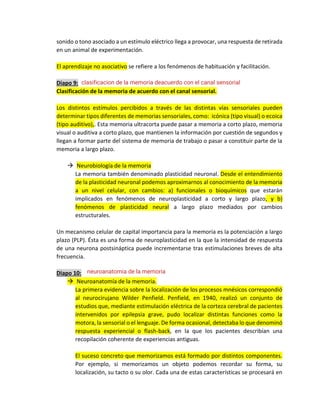 sonido o tono asociado a un estímulo eléctrico llega a provocar, una respuesta de retirada
en un animal de experimentación.
El aprendizaje no asociativo se refiere a los fenómenos de habituación y facilitación.
Diapo 9:
Clasificación de la memoria de acuerdo con el canal sensorial.
Los distintos estímulos percibidos a través de las distintas vías sensoriales pueden
determinar tipos diferentes de memorias sensoriales, como: icónica (tipo visual) o ecoica
(tipo auditivo),. Esta memoria ultracorta puede pasar a memoria a corto plazo, memoria
visual o auditiva a corto plazo, que mantienen la información por cuestión de segundos y
llegan a formar parte del sistema de memoria de trabajo o pasar a constituir parte de la
memoria a largo plazo.
→ Neurobiología de la memoria
La memoria también denominado plasticidad neuronal. Desde el entendimiento
de la plasticidad neuronal podemos aproximarnos al conocimiento de la memoria
a un nivel celular, con cambios: a) funcionales o bioquímicos que estarán
implicados en fenómenos de neuroplasticidad a corto y largo plazo, y b)
fenómenos de plasticidad neural a largo plazo mediados por cambios
estructurales.
Un mecanismo celular de capital importancia para la memoria es la potenciación a largo
plazo (PLP). Ésta es una forma de neuroplasticidad en la que la intensidad de respuesta
de una neurona postsináptica puede incrementarse tras estimulaciones breves de alta
frecuencia.
Diapo 10:
→ Neuroanatomía de la memoria.
La primera evidencia sobre la localización de los procesos mnésicos correspondió
al neurocirujano Wilder Penfield. Penfield, en 1940, realizó un conjunto de
estudios que, mediante estimulación eléctrica de la corteza cerebral de pacientes
intervenidos por epilepsia grave, pudo localizar distintas funciones como la
motora, la sensorial o el lenguaje. De forma ocasional, detectaba lo que denominó
respuesta experiencial o flash-back, en la que los pacientes describían una
recopilación coherente de experiencias antiguas.
El suceso concreto que memorizamos está formado por distintos componentes.
Por ejemplo, si memorizamos un objeto podemos recordar su forma, su
localización, su tacto o su olor. Cada una de estas características se procesará en
clasificacion de la memoria deacuerdo con el canal sensorial
neuroanatomia de la memoria
 