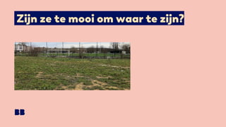 Zijn ze te mooi om waar te zijn?
 