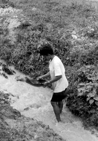 Gearóid Ó Loingsigh
53
 