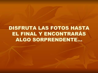 DISFRUTA LAS FOTOS HASTA EL FINAL Y ENCONTRARÁS ALGO SORPRENDENTE… 
