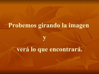 Probemos girando la imagen  y  verá lo que encontrará. 