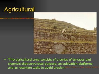 Agricultural The  agricultural area consists of a series of terraces and channels that serve dual purpose, as cultivation platforms  and as retention walls to avoid erosion.  