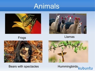 Animals



      Frogs                 Llamas




Bears with spectacles   Hummingbirds
 