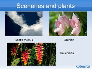 Sceneries and plants




Mist's forests     Orchids



                 Heliconias
 