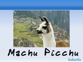 Machu Picchu
 