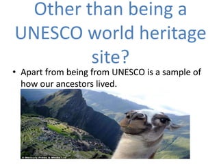 Other than being a
UNESCO world heritage
site?
• Apart from being from UNESCO is a sample of
how our ancestors lived.
 