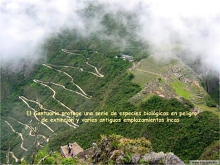 El Santuario protege una serie de especies biológicas en peligro de extinción y varios antiguos emplazamientos incas  