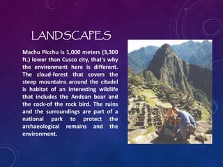 LANDSCAPES
Machu Picchu is 1,000 meters (3,300
ft.) lower than Cusco city, that's why
the environment here is different.
The cloud-forest that covers the
steep mountains around the citadel
is habitat of an interesting wildlife
that includes the Andean bear and
the cock-of the rock bird. The ruins
and the surroundings are part of a
national park to protect the
archaeological remains and the
environment.
 