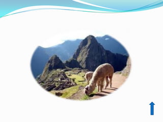 Machu picchu  uch 24 06
