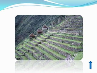 Machu picchu  uch 24 06