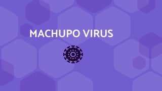 MACHUPO VIRUS
 