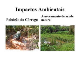 Impactos Ambientais
Poluição do Córrego
Assoreamento de açude
natural
 