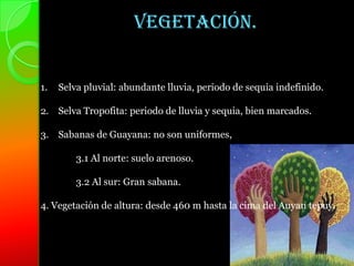 Vegetación.


1.   Selva pluvial: abundante lluvia, periodo de sequia indefinido.

2. Selva Tropofita: periodo de lluvia y sequia, bien marcados.

3. Sabanas de Guayana: no son uniformes,

         3.1 Al norte: suelo arenoso.

         3.2 Al sur: Gran sabana.

4. Vegetación de altura: desde 460 m hasta la cima del Auyan tepuy.
 
