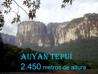 Auyan Tepuí
2.450 metros de altura
 