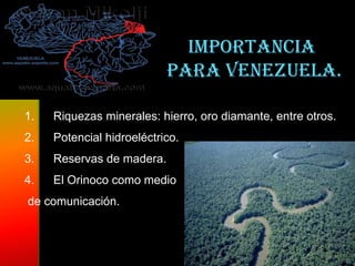 Importancia
                           para Venezuela.

1.   Riquezas minerales: hierro, oro diamante, entre otros.
2.   Potencial hidroeléctrico.
3.   Reservas de madera.
4.   El Orinoco como medio
de comunicación.
 