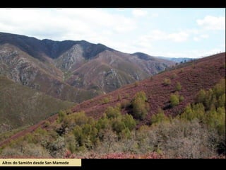 Altos do Samión desde San Mamede
 