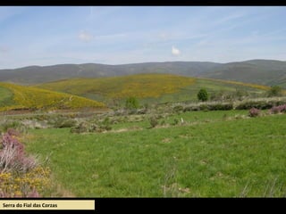 Serra do Fial das Corzas
 