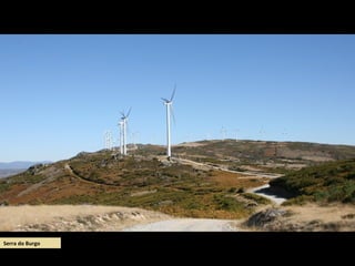 Serra do Burgo
 
