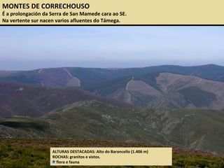 MONTES DE CORRECHOUSO
É a prolongación da Serra de San Mamede cara ao SE.
Na vertente sur nacen varios afluentes do Támega.
ALTURAS DESTACADAS: Alto do Baroncello (1.406 m)
ROCHAS: granitos e xistos.
flora e fauna
 