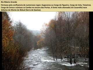 Río Ribeira Grande
Fórmase pola confluencia de numerosos regos: Augacenza ou Corga do Figueiro, Corga da Vela, Teixeiroá,
Corga da Cenza e xúntase co Camba no encoro das Portas. A fonte máis alonxada (río Casarello) nace
debaixo do Monte do Bidual (Serra de Queixa).
 