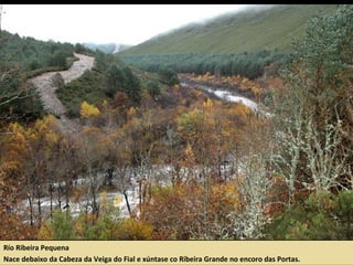 Río Ribeira Pequena
Nace debaixo da Cabeza da Veiga do Fial e xúntase co Ribeira Grande no encoro das Portas.
 