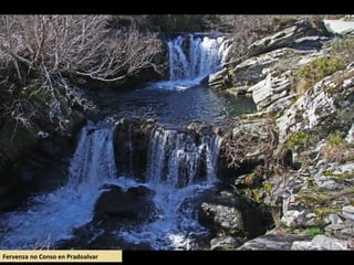Fervenza no Conso en Pradoalvar
 