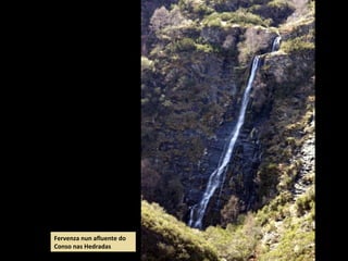 Fervenza nun afluente do
Conso nas Hedradas
 