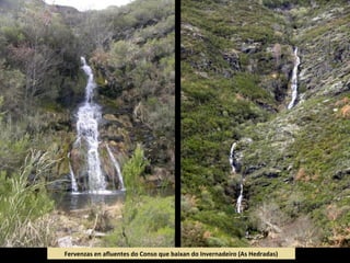 Fervenzas en afluentes do Conso que baixan do Invernadeiro (As Hedradas)
 