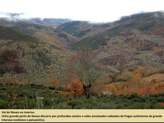 Val do Navea no inverno.
Unha grande parte do Navea discorre por profundos canóns e vales encaixados rodeados de fragas autóctonas de grande
interese ecolóxico e paisaxístico.
 