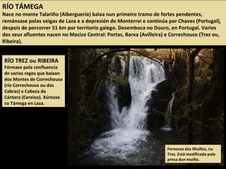 RÍO TÁMEGA
Nace no monte Talariño (Alberguería) baixa nun primeiro tramo de fortes pendentes,
remánsase polas veigas de Laza e a depresión de Monterrei e continúa por Chaves (Portugal),
despois de percorrer 51 km por territorio galego. Desemboca no Douro, en Portugal. Varios
dos seus afluentes nacen no Macizo Central: Portas, Barxa (Avilleira) e Correchouso (Trez ou,
Ribeira).
RÍO TREZ ou RIBEIRA
Fórmase pola confluencia
de varios regos que baixan
dos Montes de Correchouso
(río Correchouso ou das
Cabras) e Cabeza da
Cántara (Cereixo). Xúntase
co Támega en Laza.
Fervenza dos Muíños, no
Trez. Está modificada pola
presa dun muíño.
 