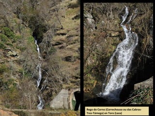 Rego do Corno (Correchouso ou das Cabras-
Trez-Támega) en Toro (Laza)
 