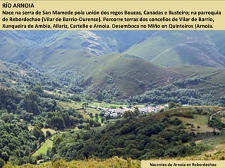 RÍO ARNOIA
Nace na serra de San Mamede pola unión dos regos Bouzas, Canadas e Busteiro; na parroquia
de Rebordechao (Vilar de Barrio-Ourense). Percorre terras dos concellos de Vilar de Barrio,
Xunqueira de Ambía, Allariz, Cartelle e Arnoia. Desemboca no Miño en Quinteiros (Arnoia.
Nacentes do Arnoia en Rebordechao
 