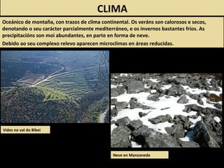 Vides no val do Bibei
CLIMA
Oceánico de montaña, con trazos de clima continental. Os veráns son calorosos e secos,
denotando o seu carácter parcialmente mediterráneo, e os invernos bastantes fríos. As
precipitacións son moi abundantes, en parte en forma de neve.
Debido ao seu complexo relevo aparecen microclimas en áreas reducidas.
Neve en Manzaneda
 
