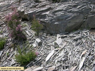 Lousas na serra da Queixa
 