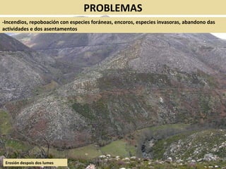 PROBLEMAS
-Incendios, repoboación con especies foráneas, encoros, especies invasoras, abandono das
actividades e dos asentamentos
Erosión despois dos lumes
 