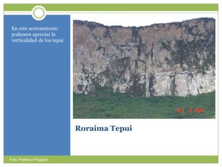 Roraima TepuiEn esteacercamientopodemosapreciar la verticalidad de los tepuiFoto: Federico Poggioli