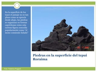 Piedras en la superficie del tepuiRoraimaEn la superficie de los tepui el paisaje no es tan planocomo se apreciadesdeabajo, laspiedras se organizan en formascaprichosascomoesta curiosa figuraconocidapopularmentecomo “el mono comiendohelado”Foto: Federico Poggioli