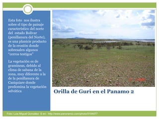 Orilla de Guri en el Panamo 2Estafotonosilustrasobre el tipo de paisajecaracterístico del norte del  estado Bolívar (penillanura del Norte), esunaplanicieproducto de la erosióndondesobresalenalgunos “cerrostestigos”La vegetaciónes de gramíneas, debido al clima de sabana de la zona, muydiferente a la de la penillanura de Casiquiaredondepredomina la vegetaciónselváticaFoto: Luis Miguel González  S en:  http://www.panoramio.com/photo/9194977