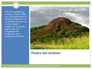 Piedra del elefanteSobre la carreteraquecomunica Puerto Ordáz con Guriencontramos la “Piedra del Elefante”, es un ejemplo de lo que son “cerrostestigos” vestigios de un paisajeque ha sidocasicompletamenteerosionado, en la Penillanura del Norte Foto: Francisco Villegas , en: http://www.fotonatura.org/galerias/masvisitas/76376/