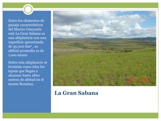 La Gran SabanaEntre los elementos de paisajecaracterísticos del MacizoGuayanésestá La Gran Sabanaesunaaltiplanicie con unasuperficieaproximada de 35.000 km2 , sualtitudpromedioes de 1.ooo mnsmSobreestaaltiplanicie se levantancomoislas los tepuisquellegan a alcanzarhasta 2810 metros de altitud en el monteRoraima.