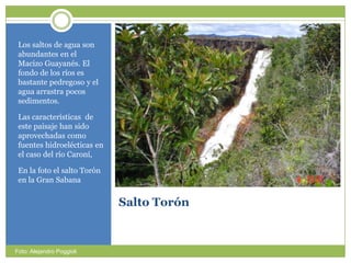 Salto TorónLos saltos de agua son abundantes en el  MacizoGuayanés. El fondo de los ríosesbastantepedregoso y el aguaarrastrapocossedimentos.Las características  de estepaisajehansidoaprovechadascomofuenteshidroelécticas en el caso del ríoCaroní,En la foto el saltoTorón en la Gran SabanaFoto: Alejandro Poggioli