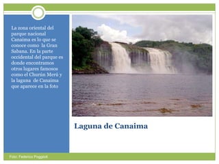 Laguna de CanaimaLa zona oriental del parquenacionalCanaimaes lo que se conocecomo  la Gran Sabana. En la parte occidental del parqueesdondeencontramosotroslugaresfamososcomo el ChurúnMerú y la laguna  de Canaimaqueaparece en la fotoFoto: Federico Poggiioli