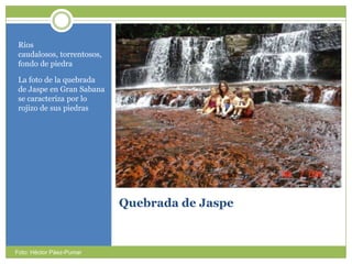 Quebrada de JaspeRíos caudalosos, torrentosos, fondo de piedraLa foto de la quebrada de Jaspe en Gran Sabana se caracterizapor lo rojizo de suspiedrasFoto: Héctor Páez-Pumar