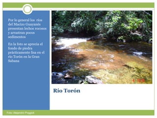 Río TorónPor lo general los  ríos del MacizoGuayanéspresentanlechosrocosos y arrastranpocossedimentosEn la foto se aprecia el fondo de piedraprácticamentelisa en el ríoTorón en la Gran SabanaFoto: Alejandro Poggioli