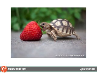 @mackfogELsonMACK WEB SOLUTIONS
PHOTO CREDIT: http://attackofthecute.com/on/?i=1367
 