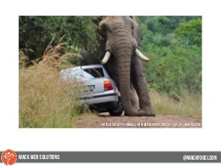 @mackfogELsonMACK WEB SOLUTIONS
PHOTO CREDIT:http://animals-myfriend.blogspot.com/2011_02_01_archive.html
 