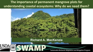 The importance of permanent mangrove plots for
understanding coastal ecosystems: Why do we need them?
Richard A. MacKenzie
 