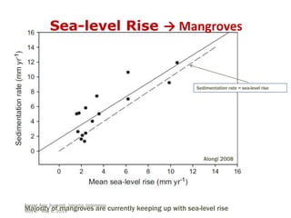 Pacific Southwest Research Station
Sedimentation rate = sea-level rise
Alongi 2008
Majority of mangroves are currently kee...