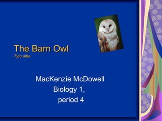 The Barn OwlThe Barn Owl
Tyto albaTyto alba
MacKenzie McDowell
Biology 1,
period 4
 